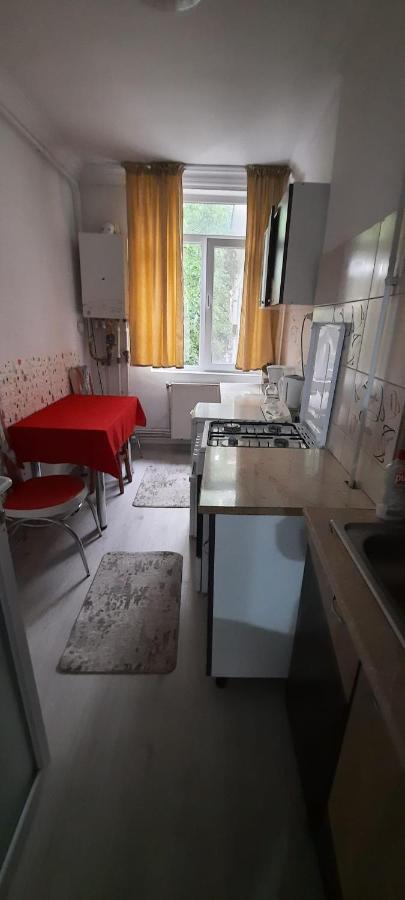 Apartament La Denis Birlad Экстерьер фото